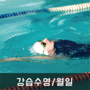 강습수영/ 월-일
