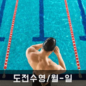 도전수영/ 월-일